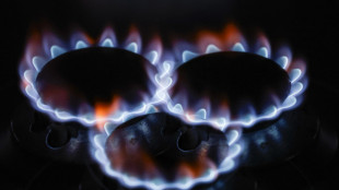 Il prezzo del gas apre in forte calo a 58 euro al megawattora