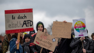 Mehrere Protestaktionen rund um AfD-Parteitag in Magdeburg