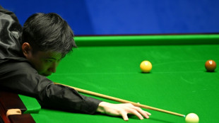 China's Zhao leads Williams 11-6 in world snooker final
