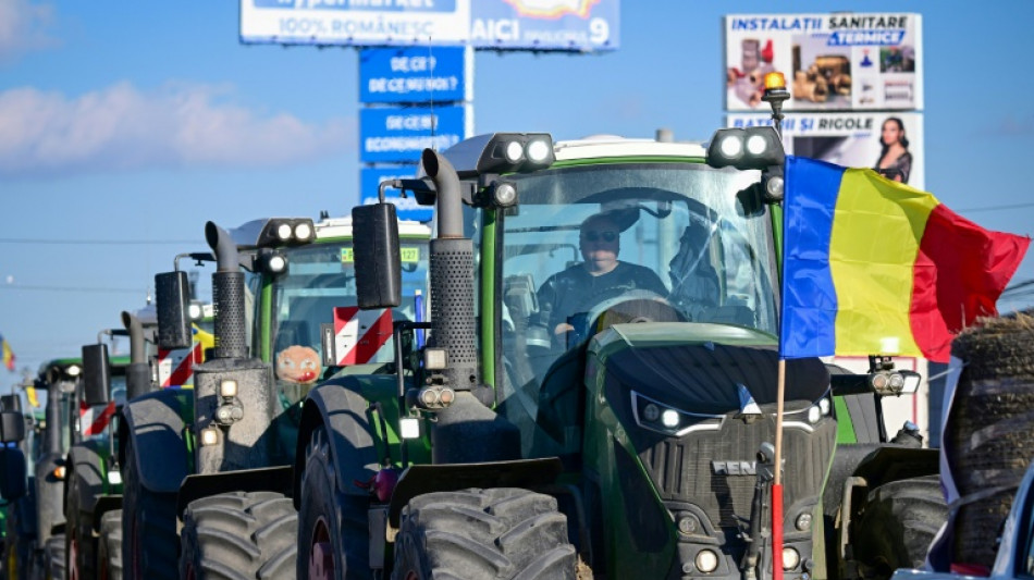 En Roumanie, le d&eacute;sarroi d'agriculteurs "au bout du rouleau"