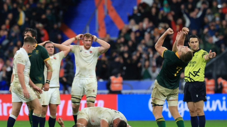 Springbok win would give hard-pressed people 'bit of light', says Stick