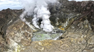 Vols annul&eacute;s apr&egrave;s une &eacute;ruption volcanique en Nouvelle-Z&eacute;lande