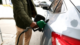 Asian stocks rally as Trump says war to end 'very soon'