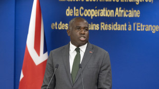 Lammy, 'ministri di Israele hanno istigato la violenza'