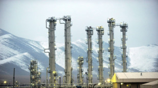 Aiea, 'riprese ispezioni in Iran questa settimana'