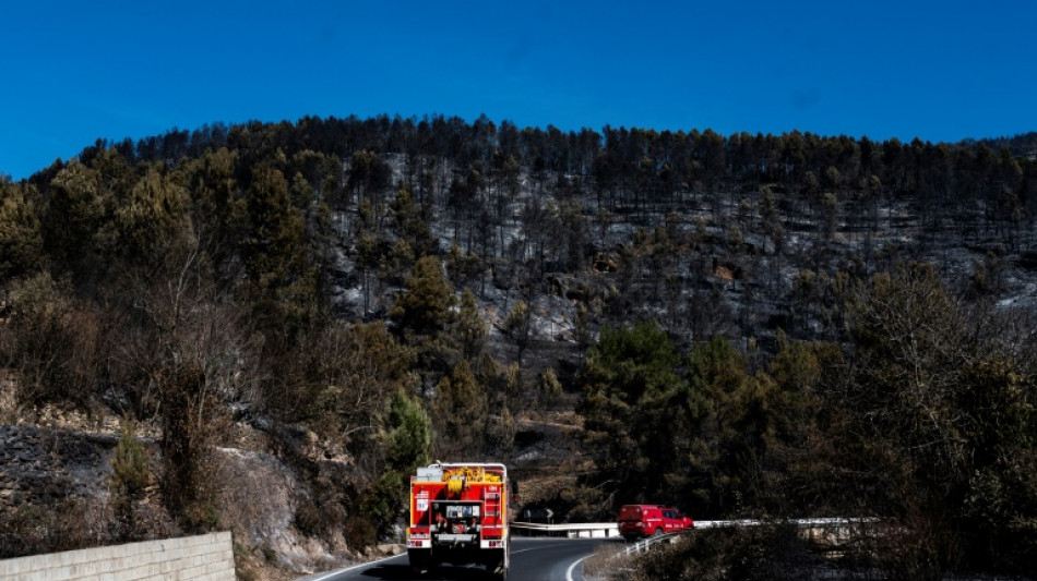Mejoran condiciones para apagar el gran incendio del oeste de Espa&ntilde;a